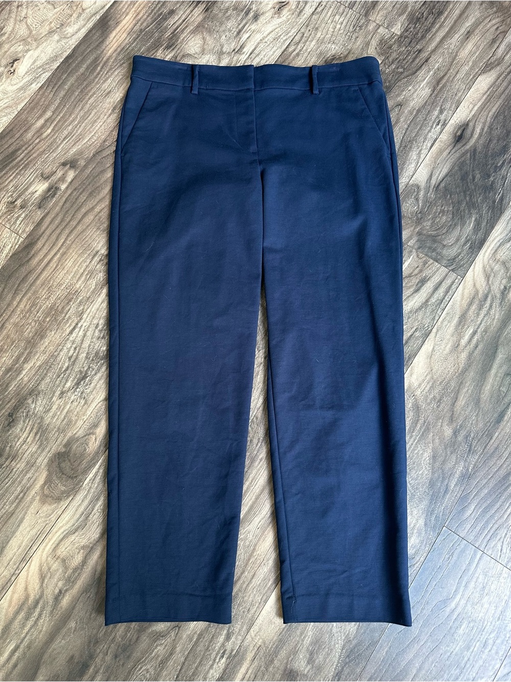 LOFT Navy Riviera Ankle Pants